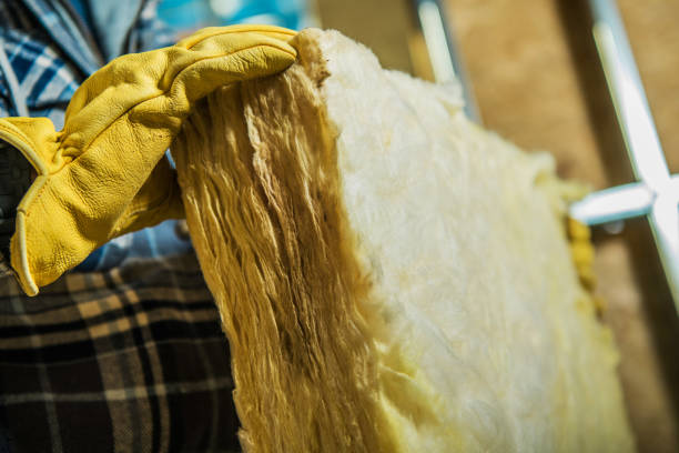 Best Cellulose Insulation in Lithopolis, OH