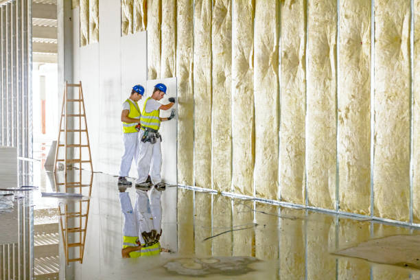 Best Insulation Maintenance and Repair in Lithopolis, OH